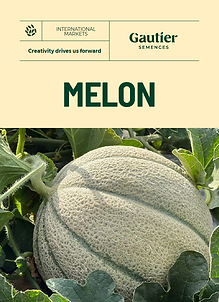 couv_MELON_Int.PNG