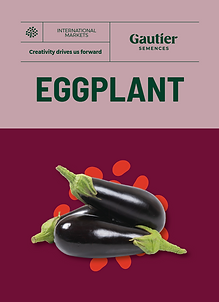 couv_Eggplant_2024.PNG