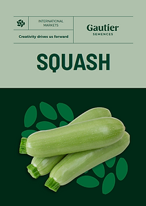 couv_Courgette_INT_2024.PNG