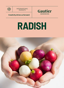 couv RADISH Int 2024.PNG