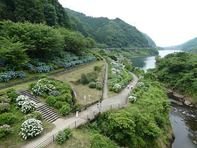 P1020819.JPG