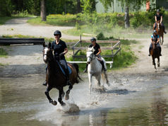 Ridelærerstudiet ved NHS starter opp igjen høsten 2026