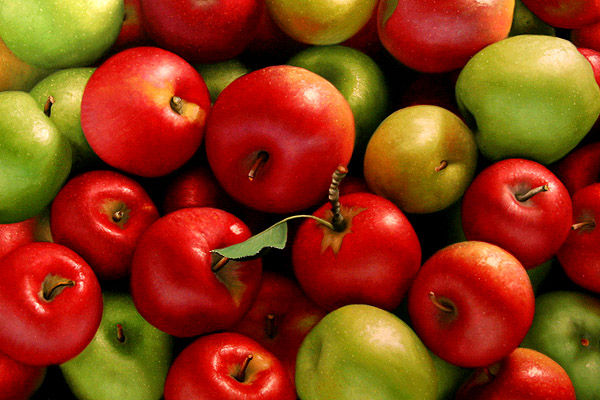 Provimas proveedor frutas verduras
