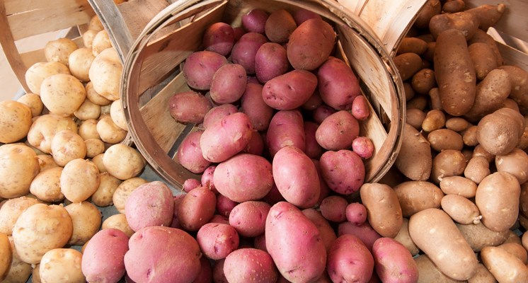 Provimas proveedor frutas verduras