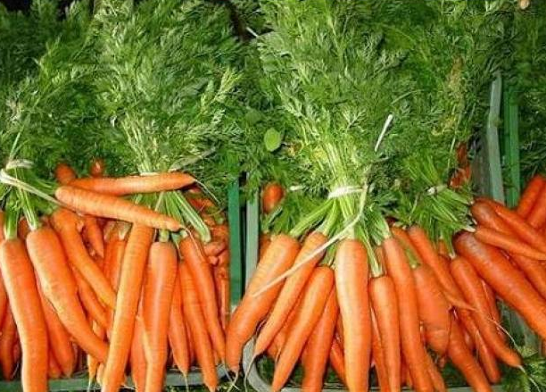 Provimas proveedor frutas verduras