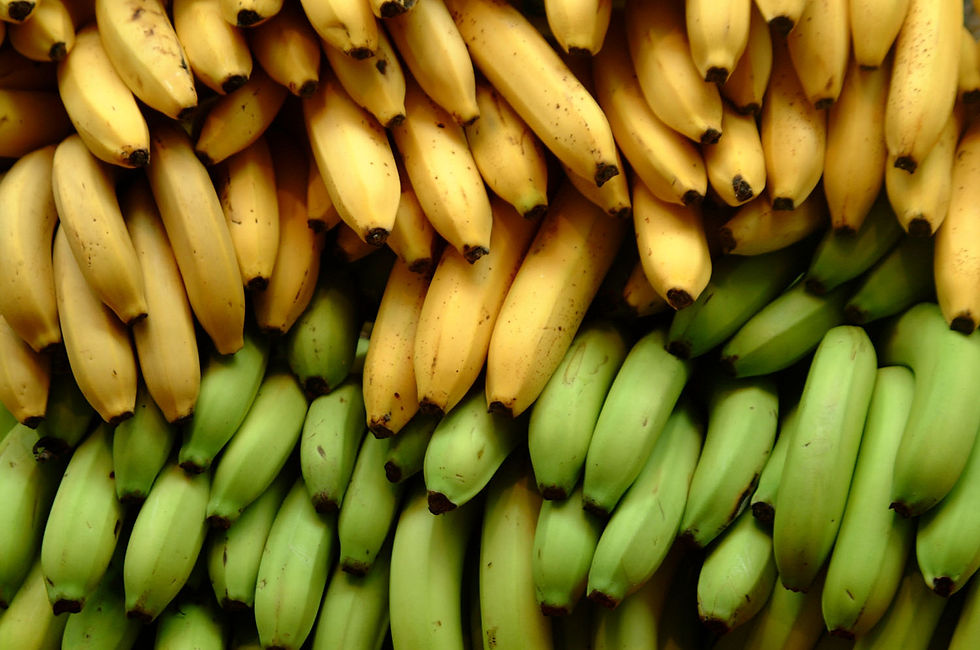 Provimas proveedor frutas verduras