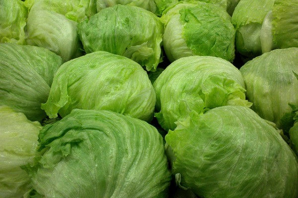 Provimas proveedor frutas verduras
