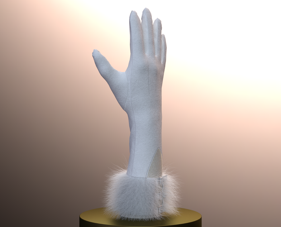 Glove_rendered_White.png