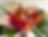 Screenshot 2024-02-15 210718.png