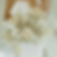 Screenshot 2023-08-17 143918.png