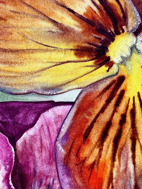 Thumbnail: Violas (1)