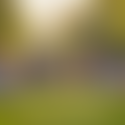 Cómo participar en ReinoChile: Pasos y consejos