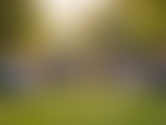 Cómo participar en ReinoChile: Pasos y consejos