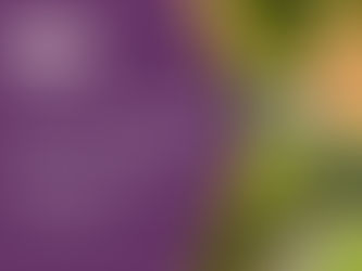 How to Get Landscaping Business Insurance in Australia