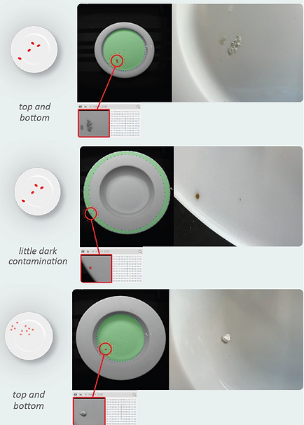 contamination gesamt 2.png