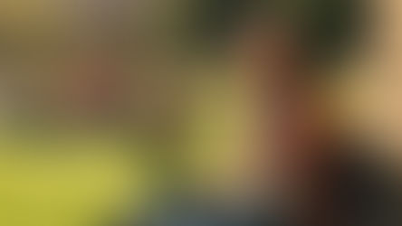 Que nivel de estudios academicos requiere la WHV de España?