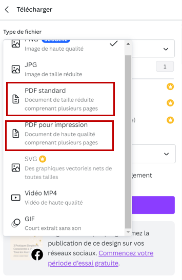 Photo du choix à faire pour télécharger son pdf
