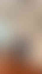 Miss G & me - Tall Women's Clothing