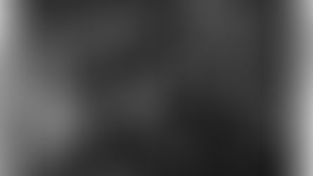 השמדת הצוענים בז׳טל: שני עמים, בור אחד