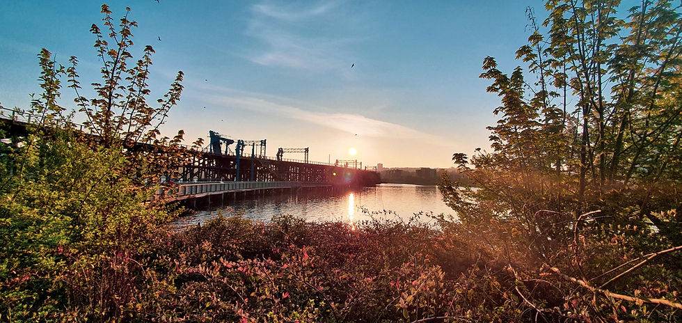 Lockdown; an opportunity to redefine success