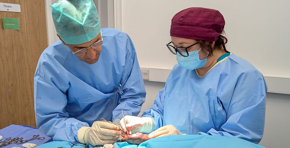 edited cover photo.jpg