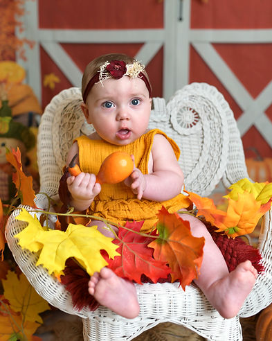 Barn gourd shocked look copy.jpg