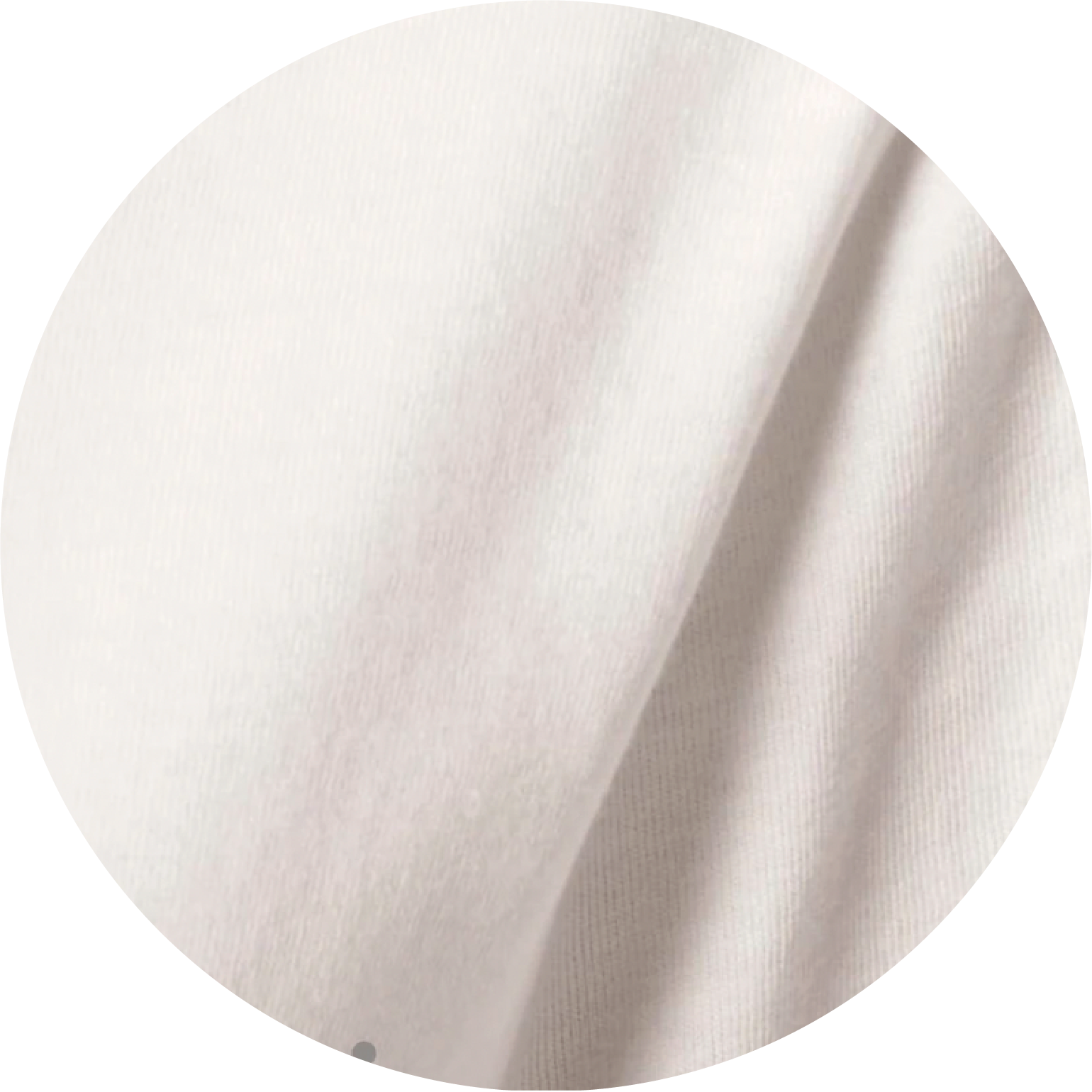 Asset 3.png