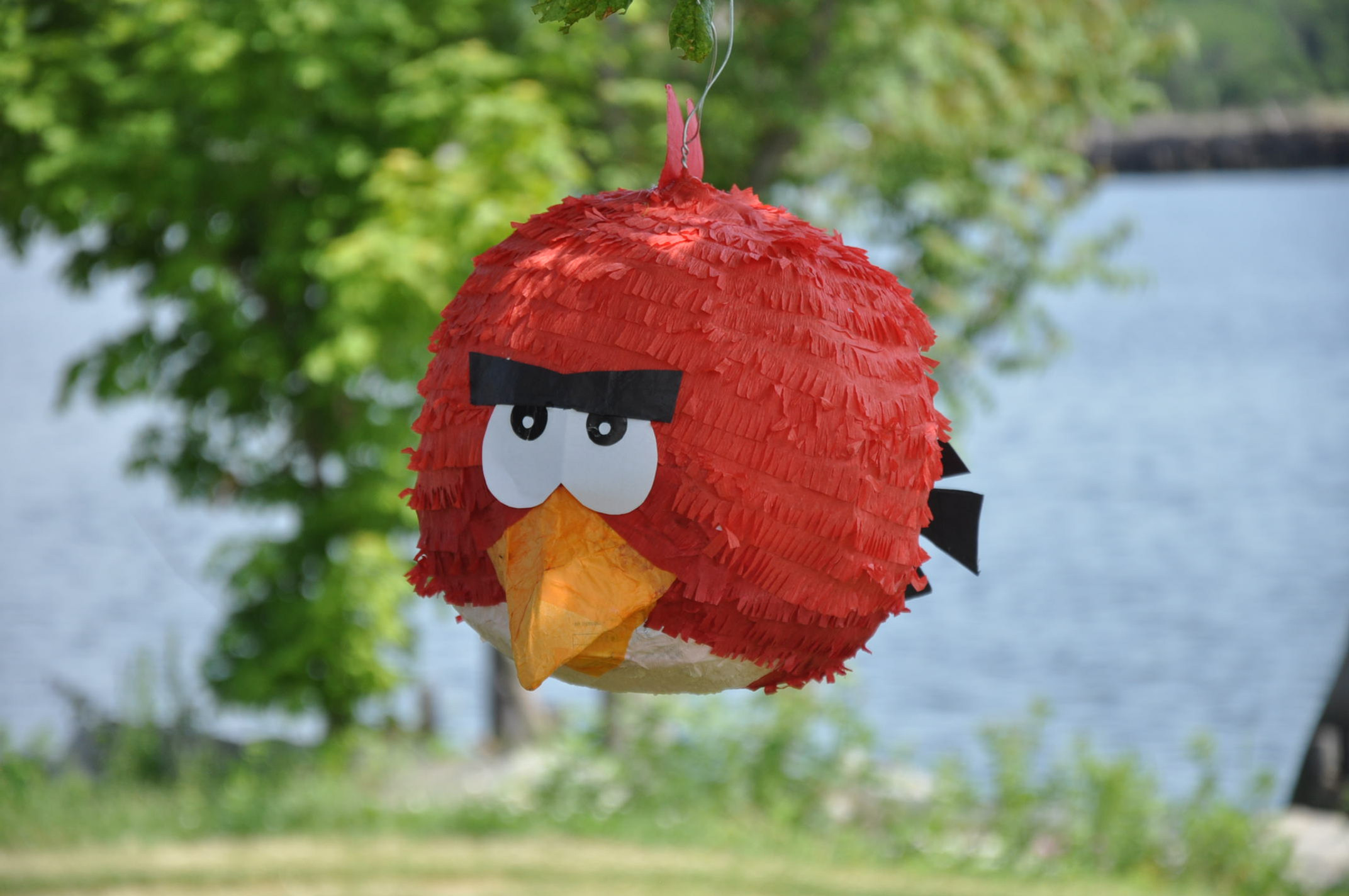 Red Angry Bird Pinata