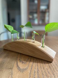 Plant Holders and Stands