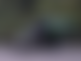 Quartararo domina primeiro dia de testes da MotoGP em Sepang; Jorge Martin sofre acidente e está fora do restante das atividades