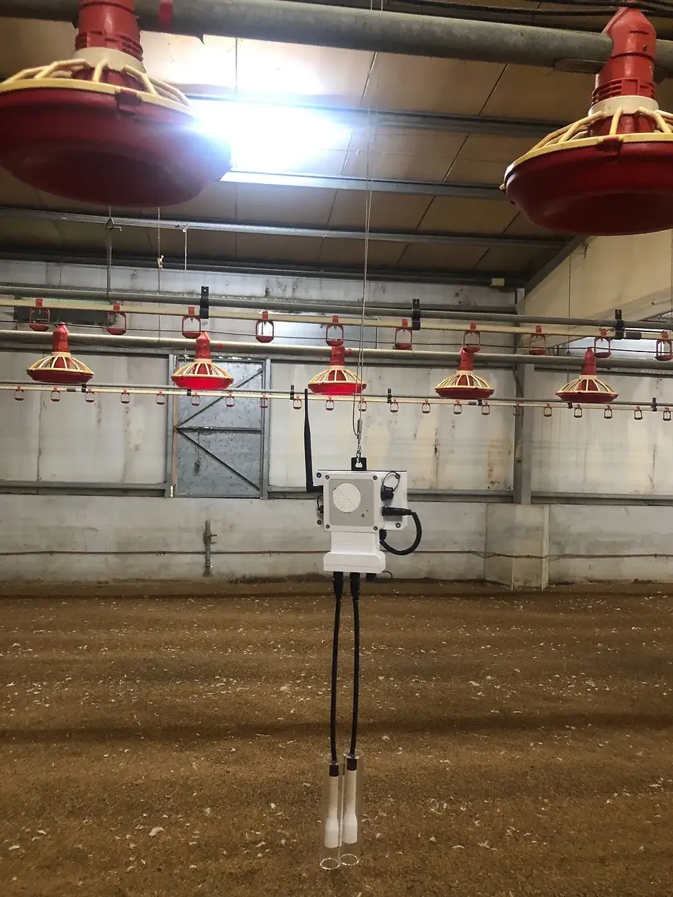 Calyx ammonia sensor installed in the broiler house