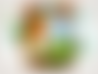 Aceite suas estações