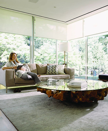 Savant Modern Home