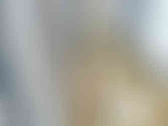 外構工事犬走の土の鋤取り・残土処分２