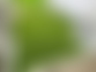 仙台市|人工芝とテラスと目隠しフェンス工事・2