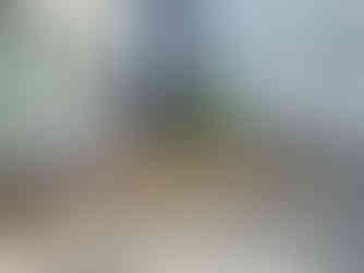 外構工事施工前