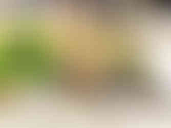 外構工事樹脂ポール