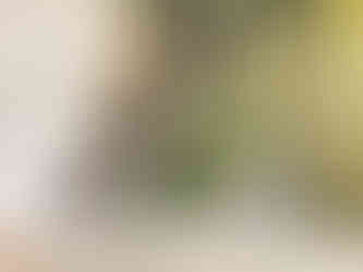 外構工事自然石と下草