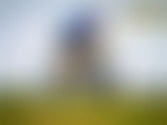 Battling the Elements: My 1st IRONMAN 70.3 Florida