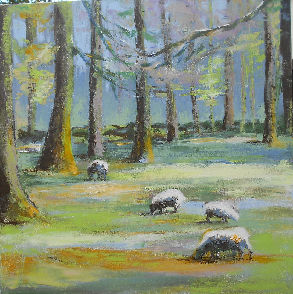 Les moutons de Maroeuil