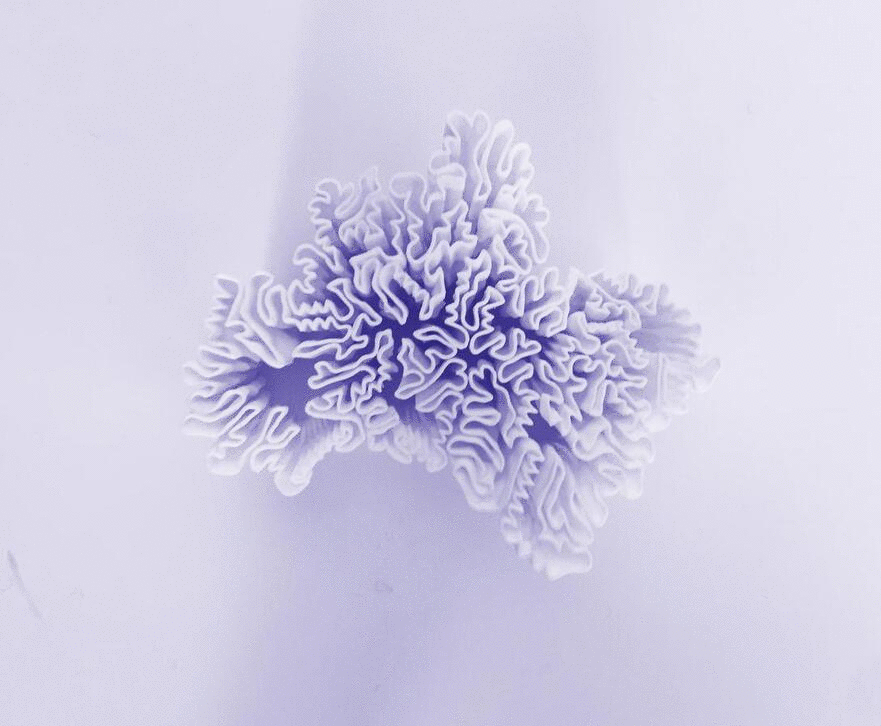 ezgif.com-gif-maker.gif