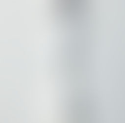 Accesso civico negato per scopi ritorsivi