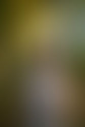 Rose's Senior Session