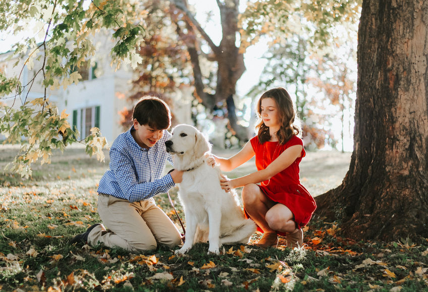 Always Bring Your Dog to the Shoot