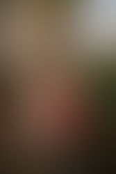 Rachel's Senior Session