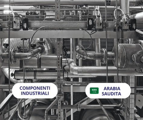 SCADUTA - Cercasi fornitore italiano di componenti industriali