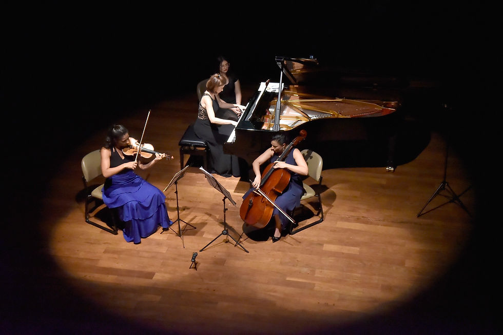 Concertos Unimed dez (13)