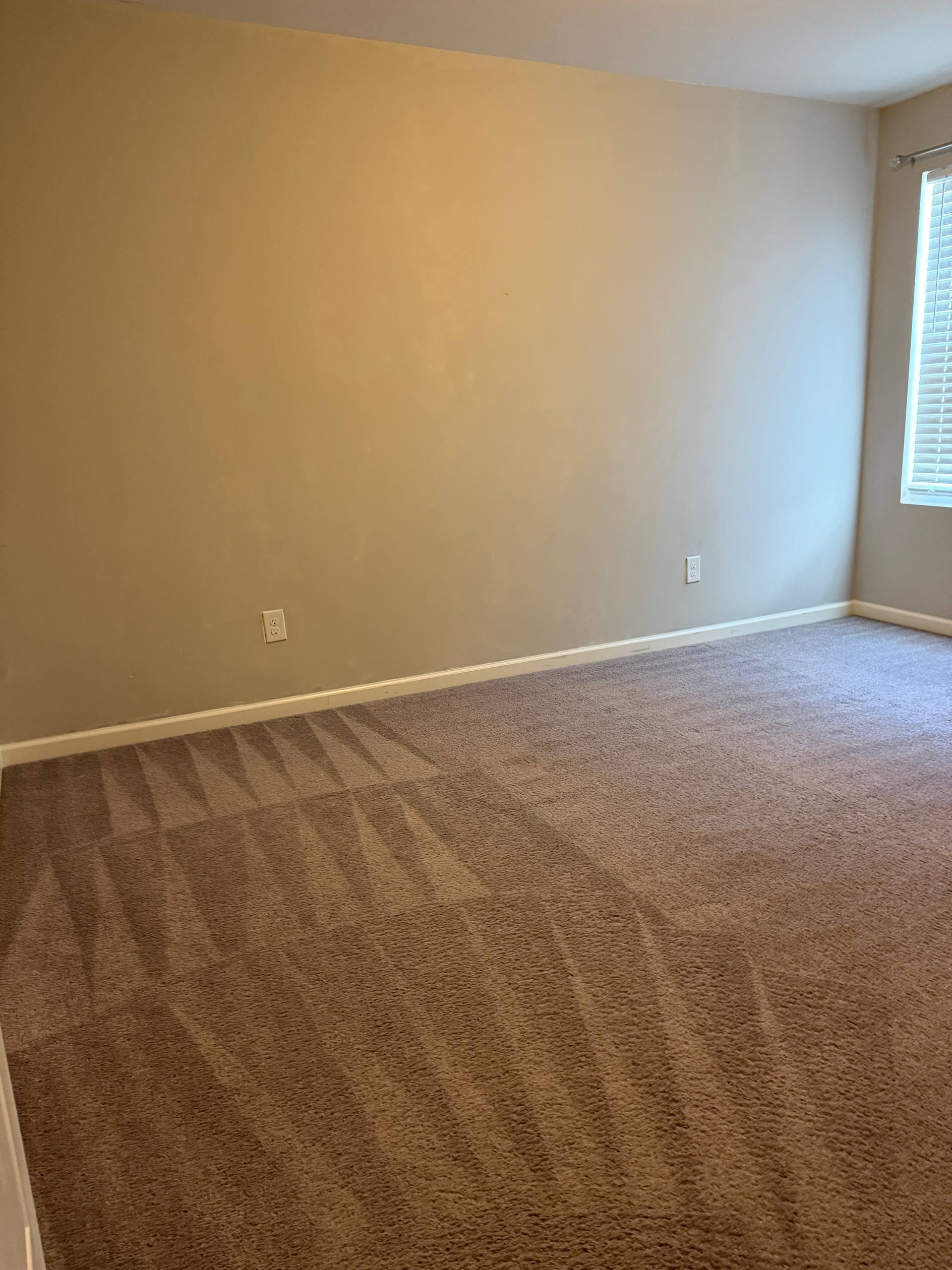 Freshly cleaned carpet in Mooresville NC home