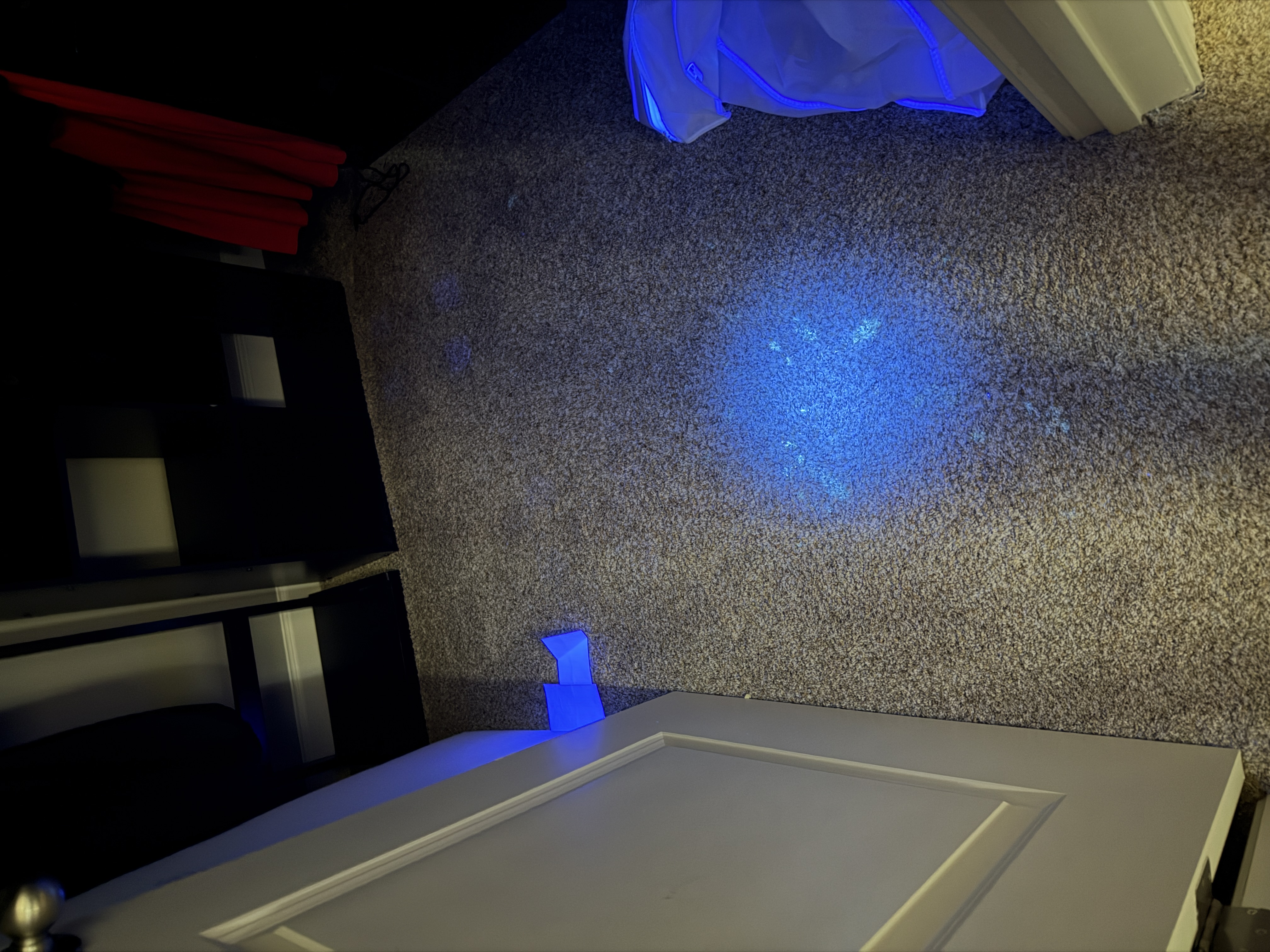UV light revealing pet odor stains for carpet cleaning in Davidson NC