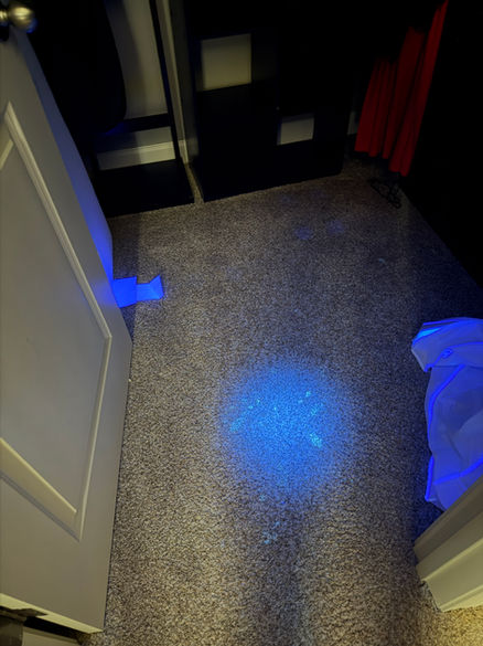 Pet stain carpet cleaning in Cornelius NC